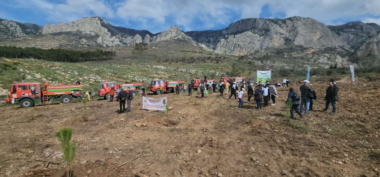 Muğla’da Orman Haftası Etkinliği: 28 Bin Fidan Toprakla Buluşuyor 3